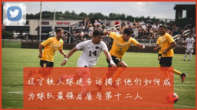 辽宁铁人球迷专访揭示他们如何成为球队最强后盾与第十二人