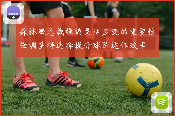 森林狼总裁强调灵活应变的重要性强调多样选择提升球队运作效率
